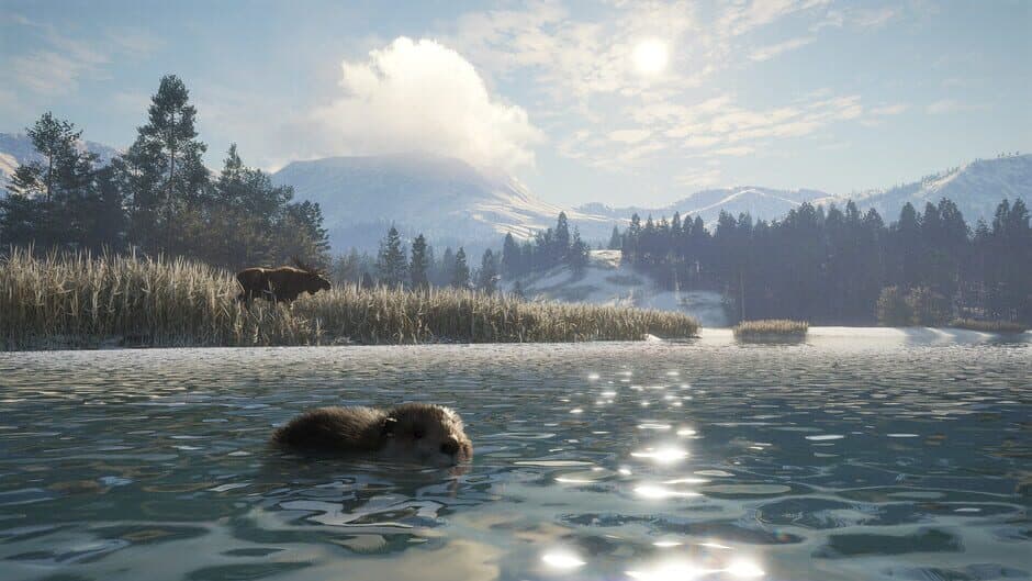 TheHunter: Call of the Wild - Alberta Hunting Preserve screenshot 4