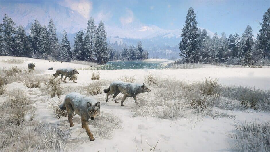 TheHunter: Call of the Wild - Alberta Hunting Preserve screenshot 6