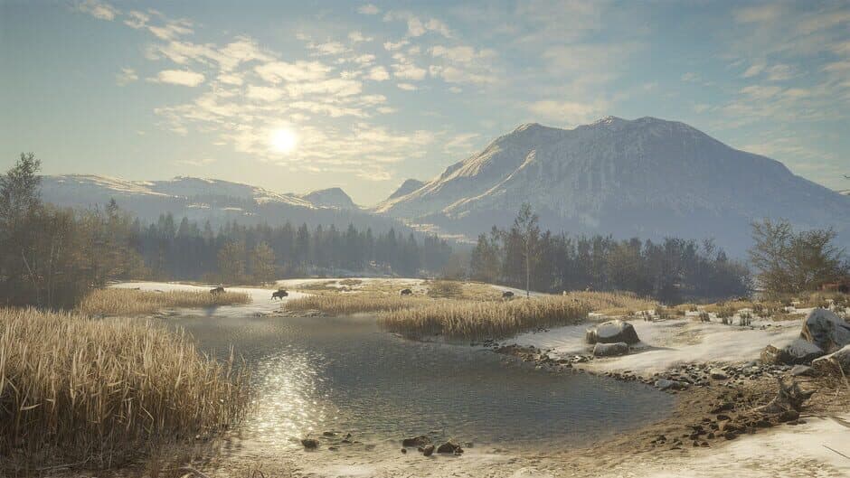 TheHunter: Call of the Wild - Alberta Hunting Preserve screenshot 5