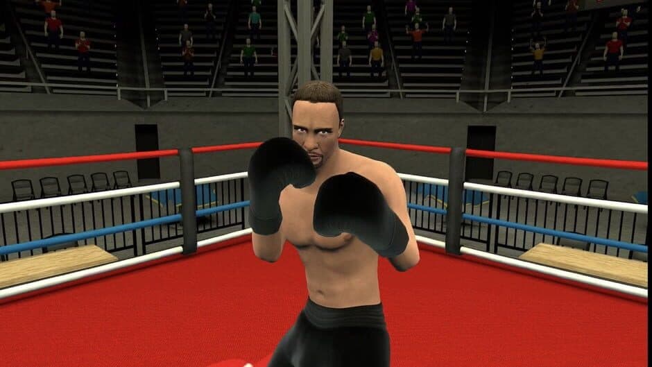 Golden Gloves VR screenshot 3