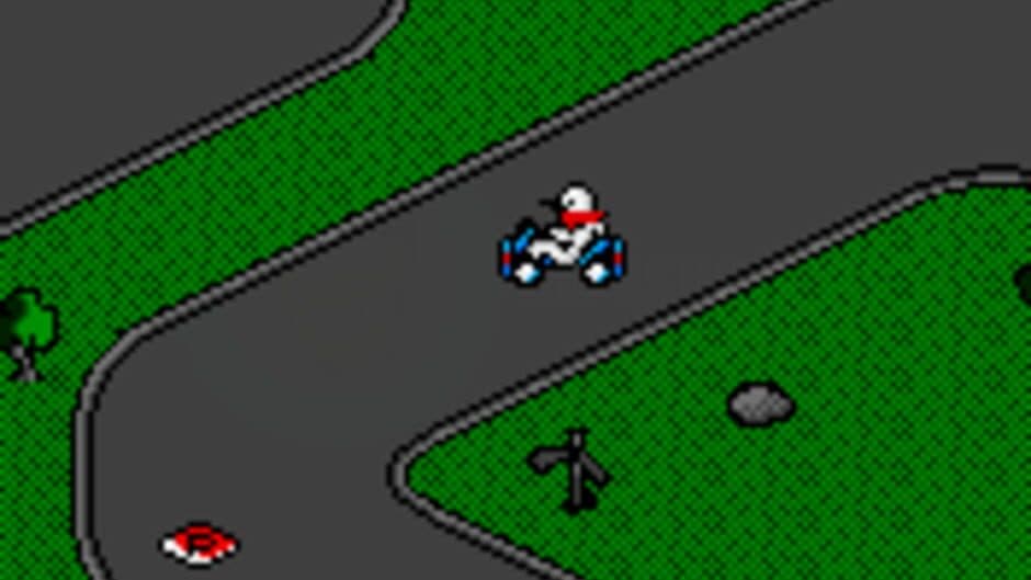 Moorhuhn: Kart Racer screenshot 2