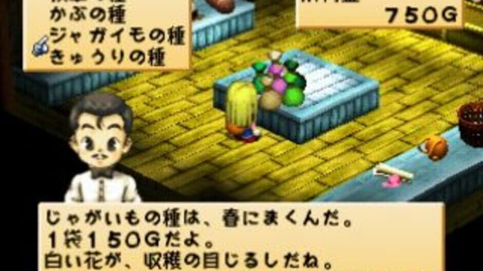Harvest Moon for Girl screenshot 4