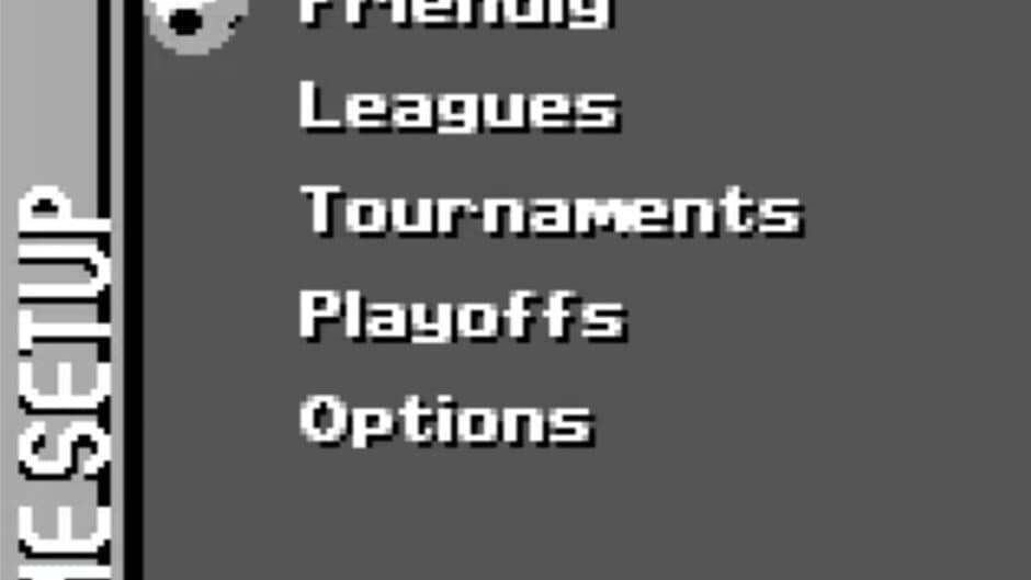 FIFA Soccer 96 screenshot 2