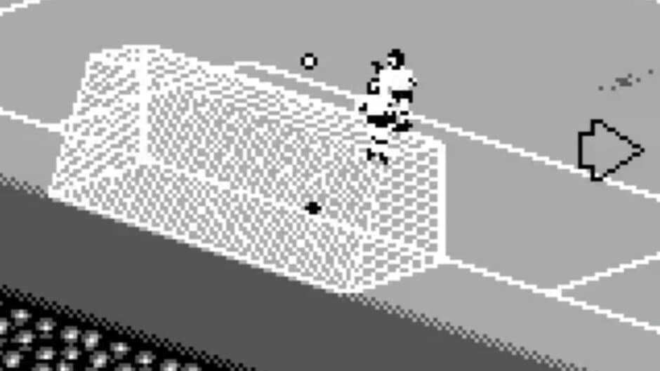 FIFA Soccer 96 screenshot 6