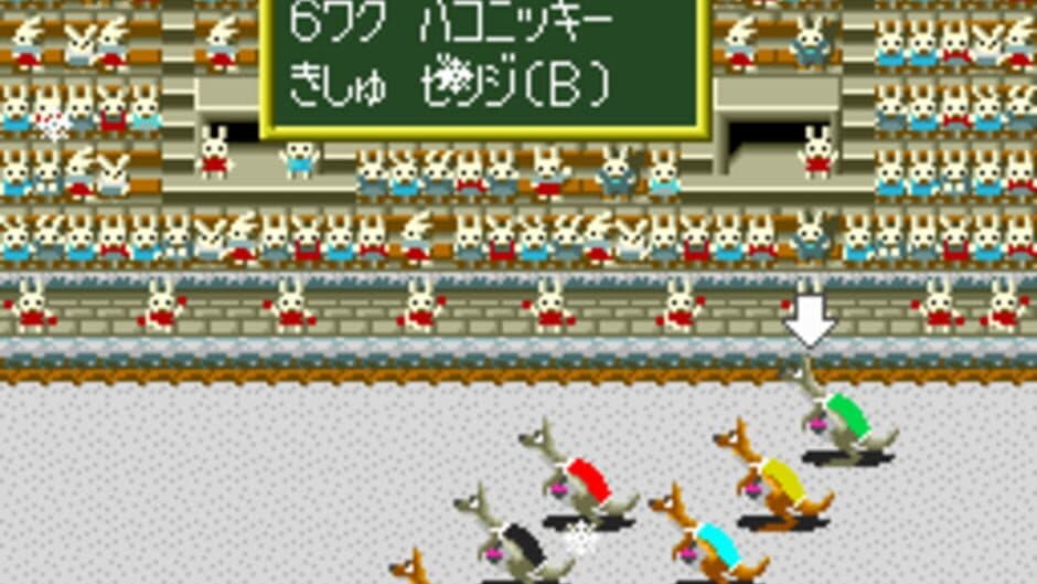 Wallaby!! Usagi no Kuni no Kangaroo Race screenshot 3
