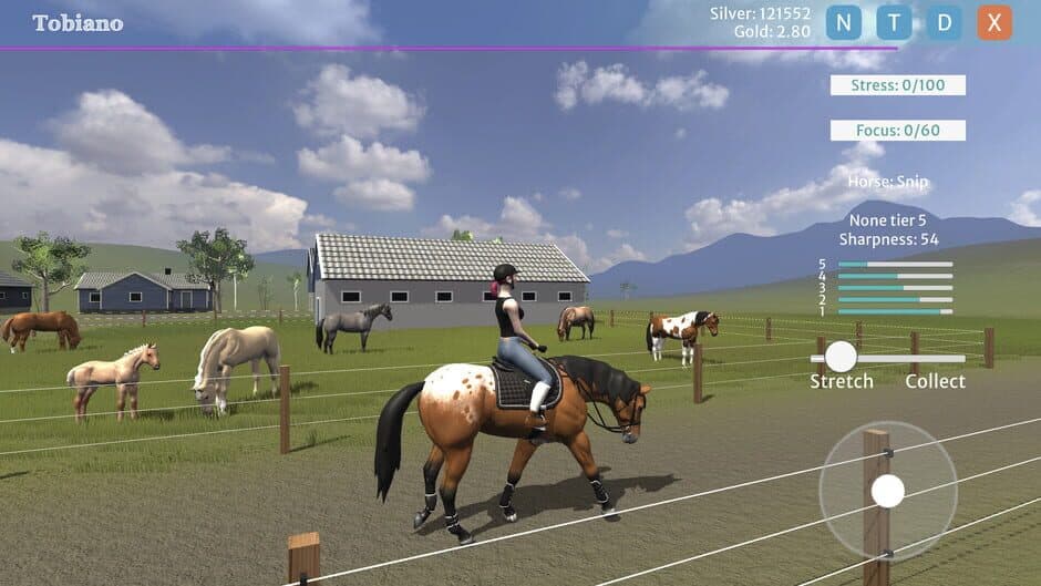 Tobiano screenshot 3