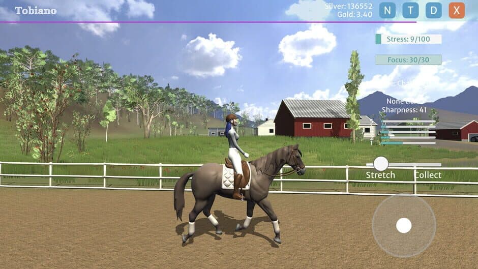 Tobiano screenshot 2