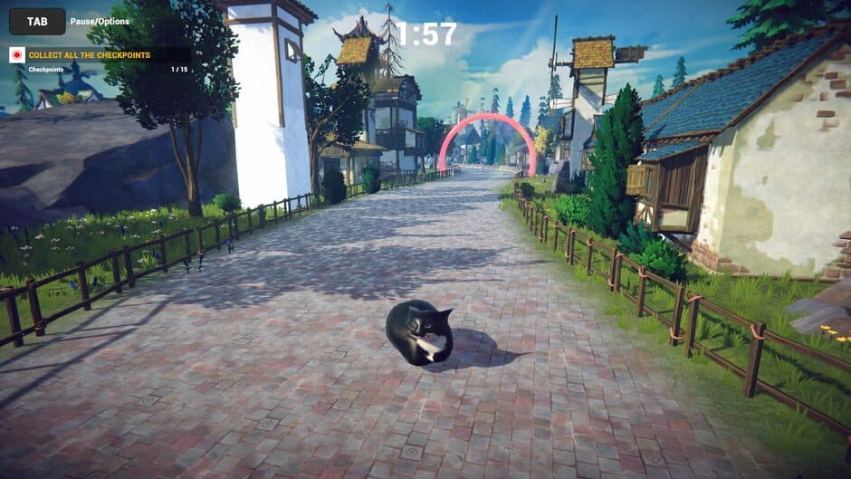 Cat Karting screenshot 1