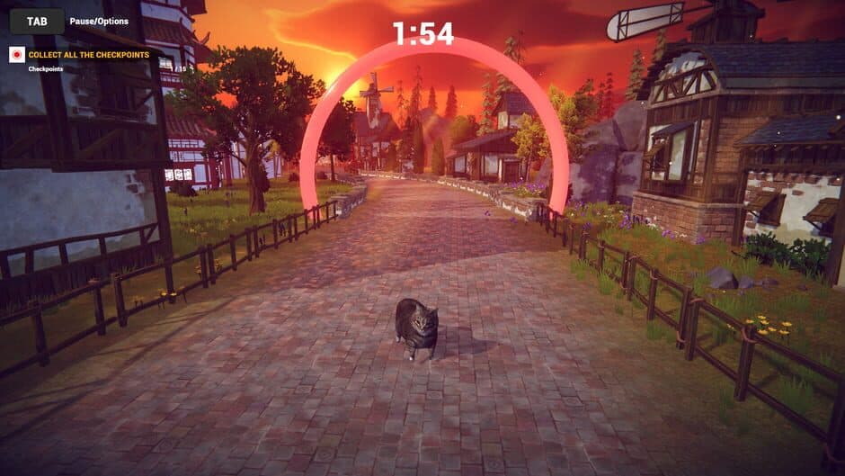 Cat Karting screenshot 3