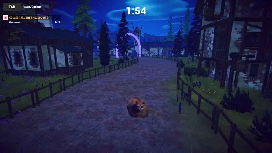 Cat Karting screenshot 5