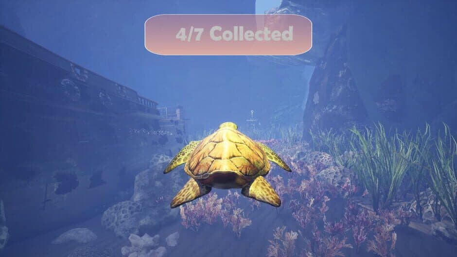 Turtle Racer screenshot 1