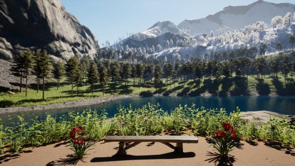 Solvimus screenshot 6