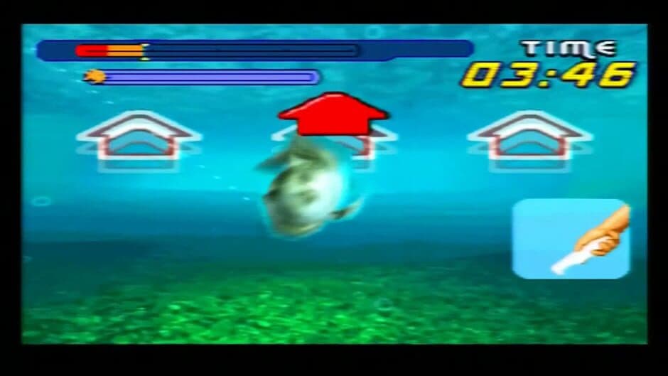 Catch Fish screenshot 3