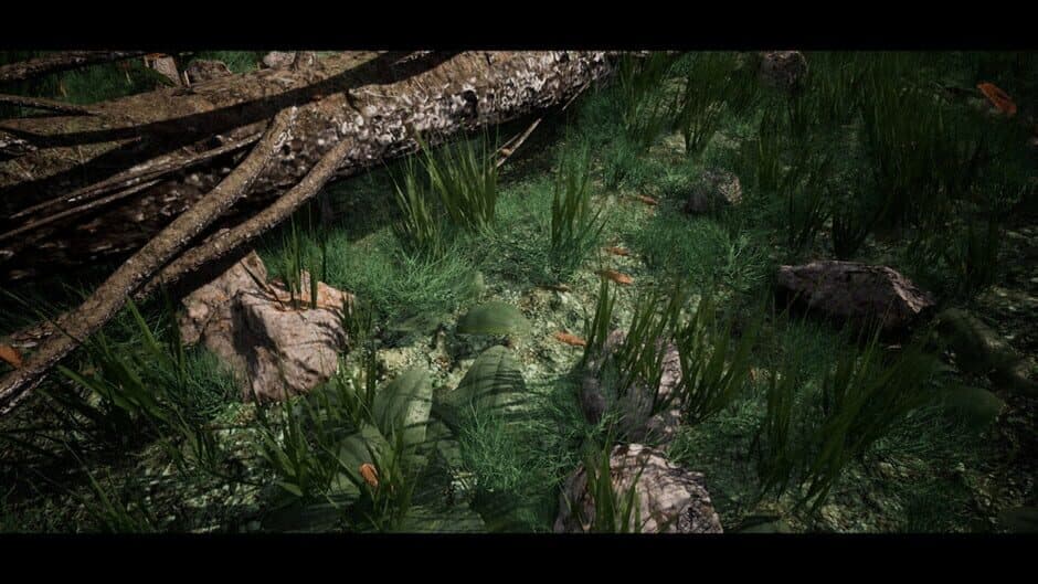 Soilborn: Ant Empire screenshot 4