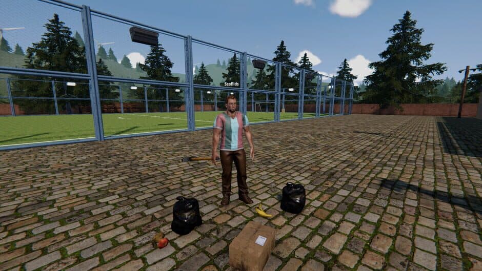 Football Pitch Simulator screenshot 6