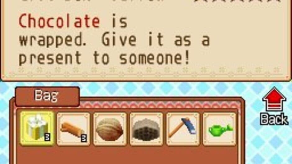 Harvest Moon DS: Grand Bazaar screenshot 2
