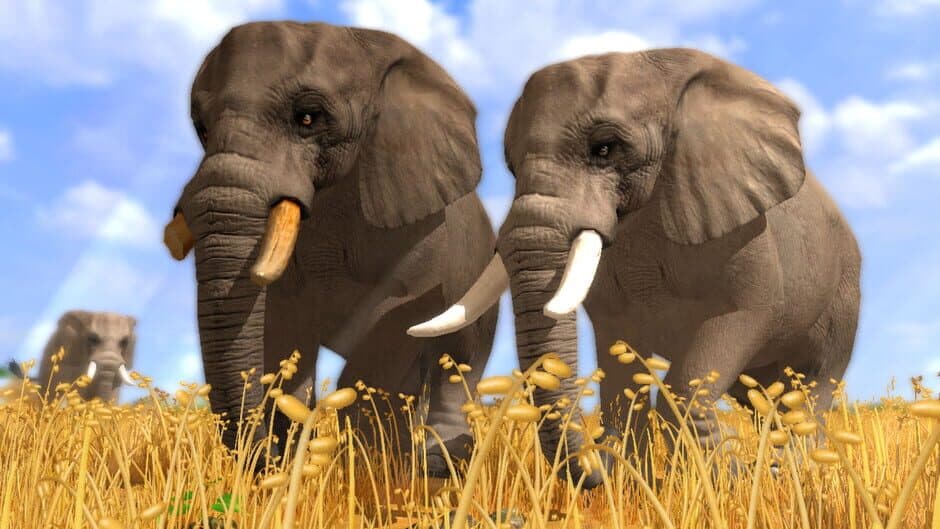 Wildlife Park 3 screenshot 1