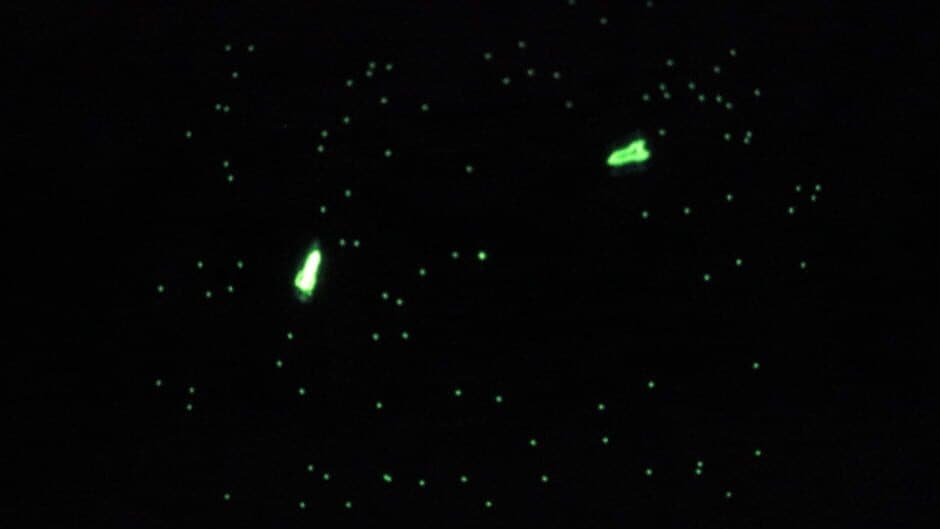 Galaxy Game screenshot 1