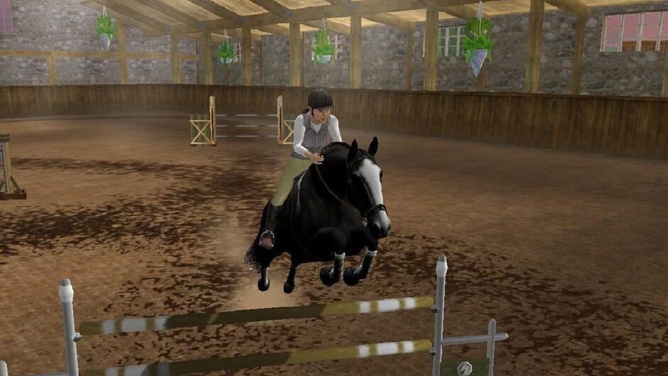 Lucinda Green's Equestrian Challenge screenshot 1