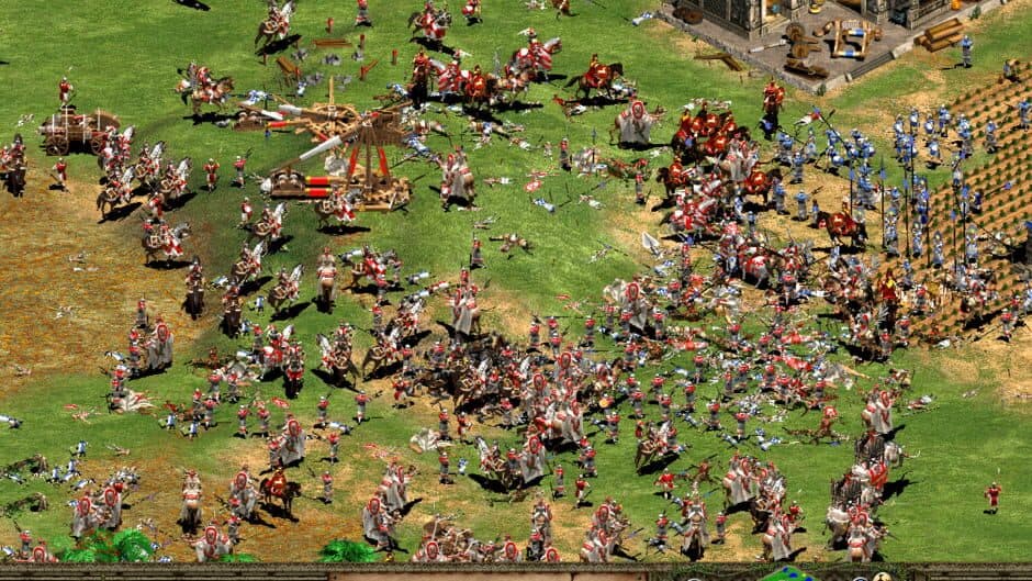 Age of Empires II: The Age of Kings screenshot 3