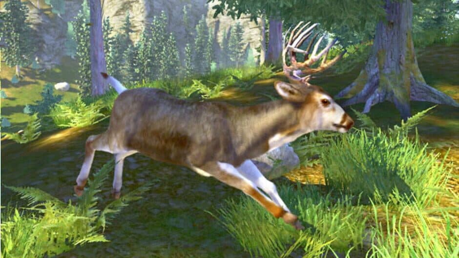 Cabela's Trophy Bucks screenshot 5