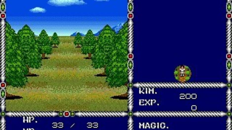 Sword of Vermilion screenshot 3