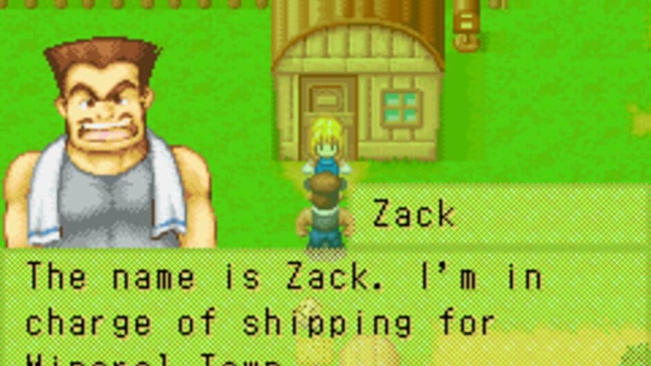 Harvest Moon: More Friends of Mineral Town screenshot 6