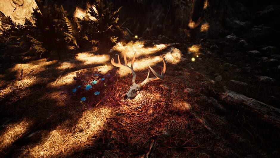 Nephise Begins screenshot 1