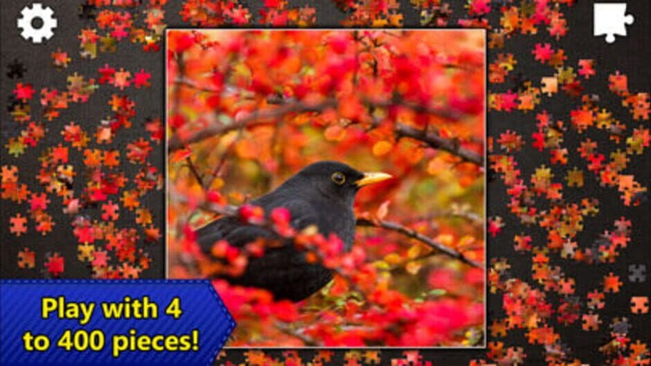 Jigsaw Puzzles Epic screenshot 6