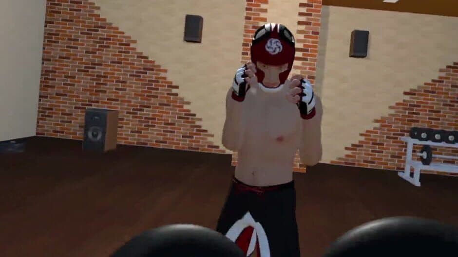Fight Sparring VR screenshot 3