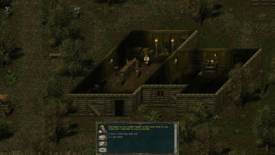 Divine Divinity screenshot 2