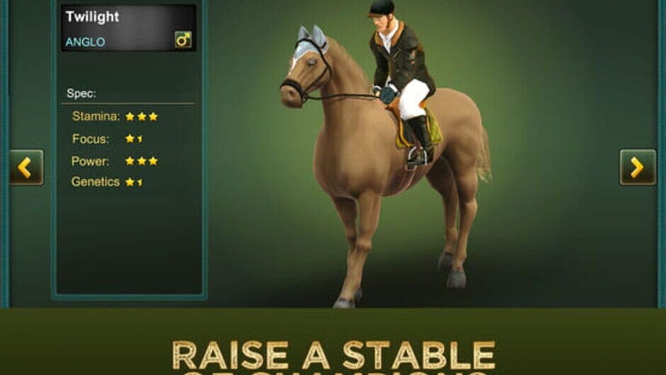 Jumping Horses Champions 2 screenshot 2