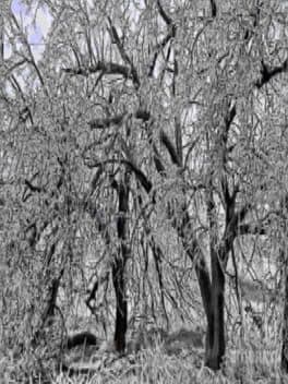 Seasonal Affectiveness Disorder