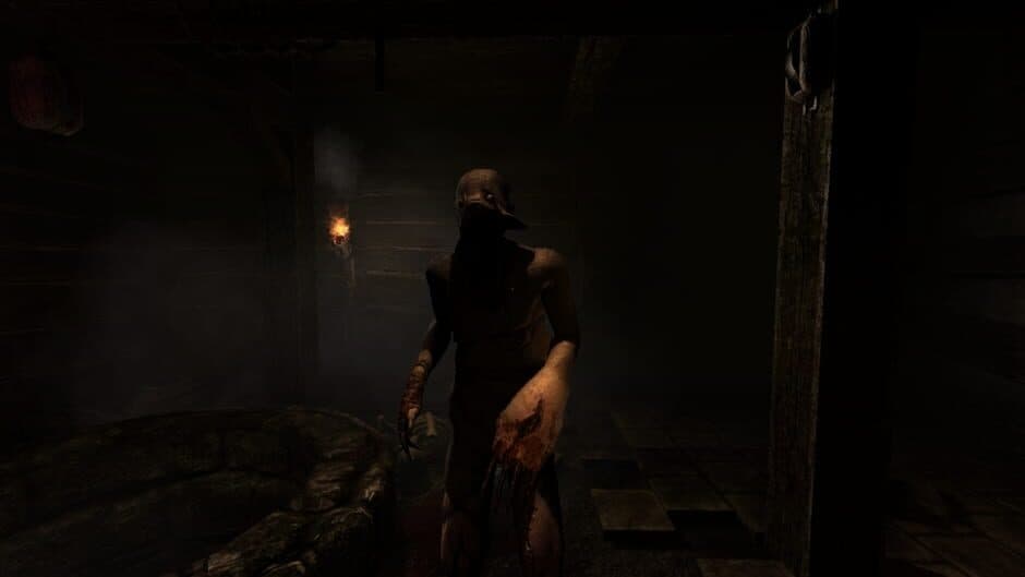Amnesia: Collection screenshot 2