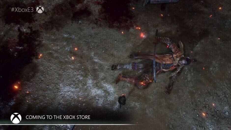 Sekiro: Shadows Die Twice - Collector's Edition screenshot 3