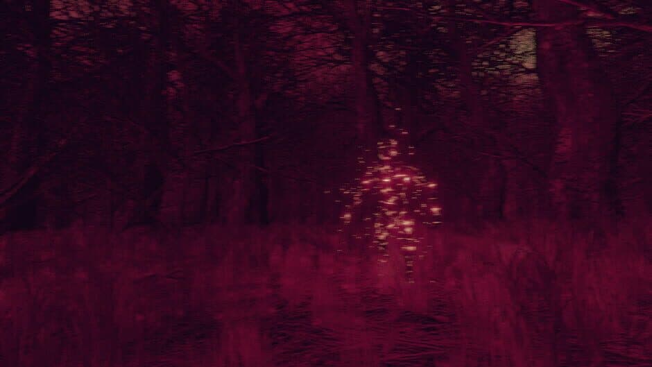 Witch Hunt screenshot 6