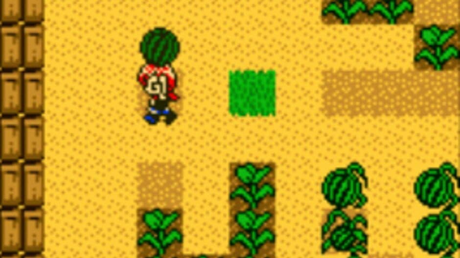 Harvest Moon 2 GBC screenshot 1