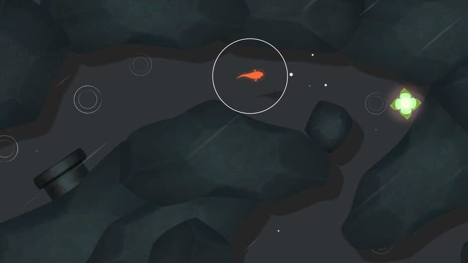 Koi screenshot 1