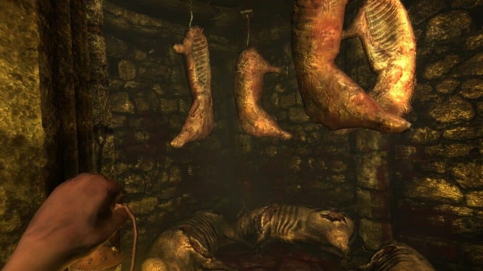 Amnesia: Collection screenshot 3