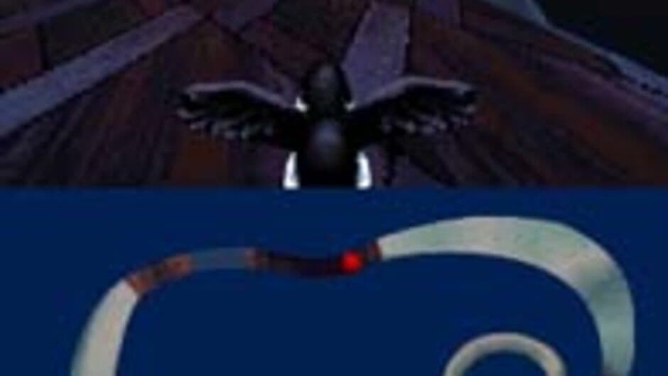 Puffins: Let's Race! screenshot 4