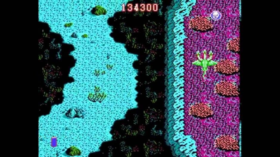 Dragon Spirit: The New Legend screenshot 1