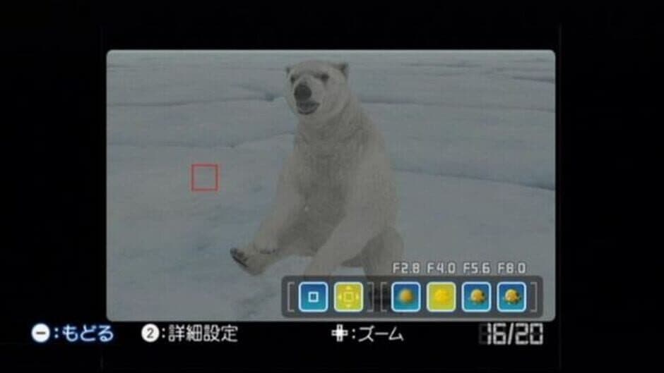 Endless Ocean: Blue World screenshot 6