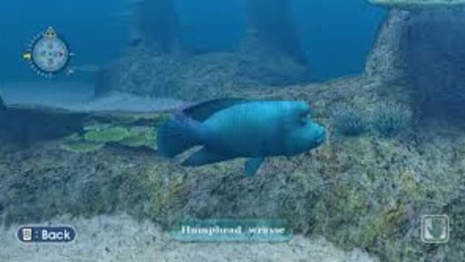 Endless Ocean screenshot 2