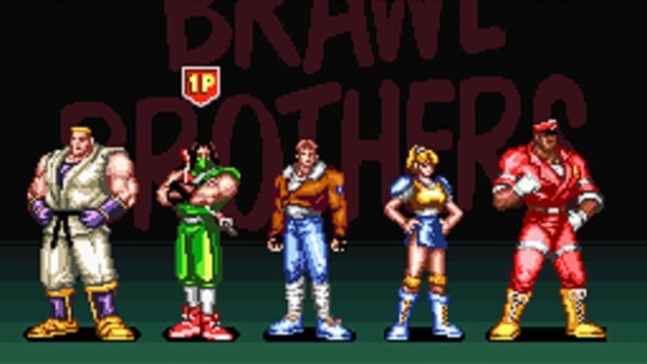 Brawl Brothers screenshot 6