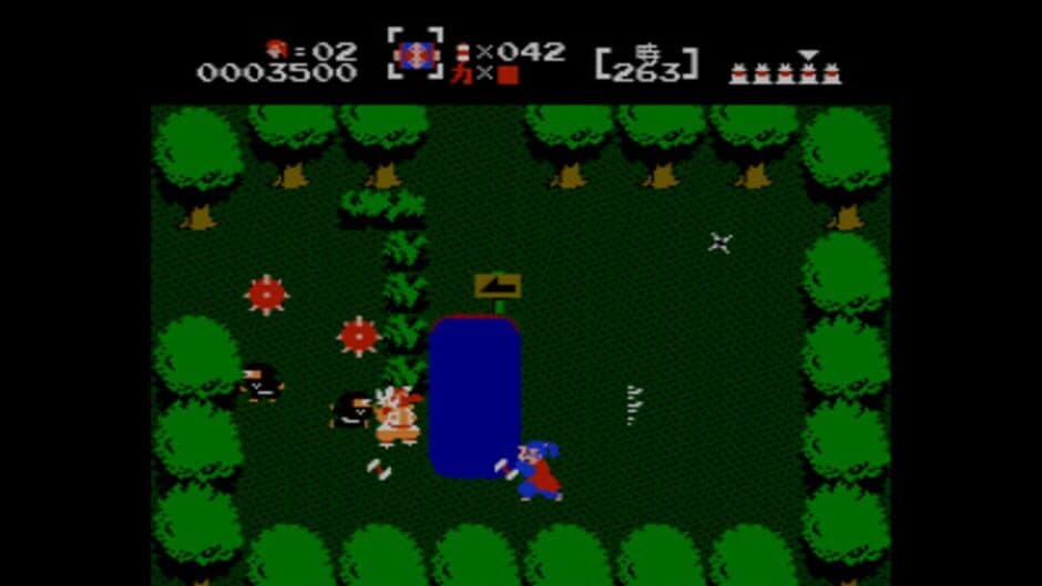 The Mysterious Murasame Castle screenshot 1