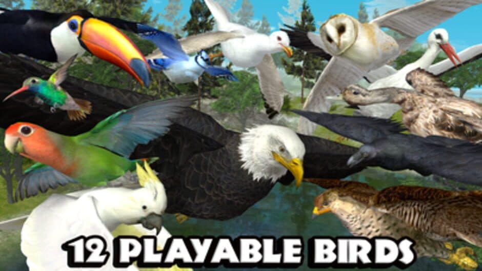 Ultimate Bird Simulator screenshot 5
