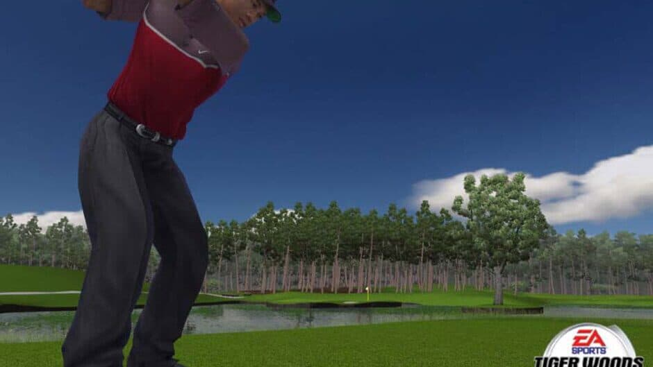 Tiger Woods PGA Tour 2005 screenshot 2