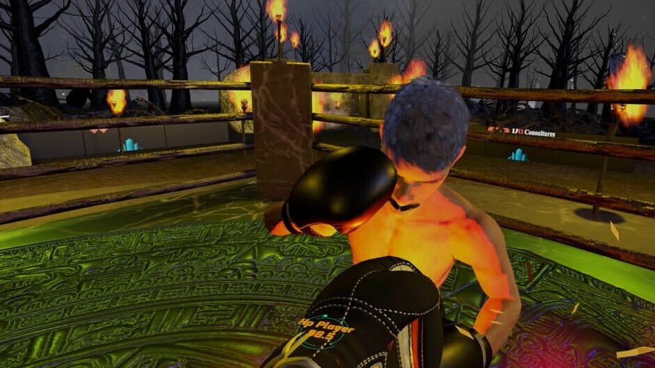 Arvis Punch 2 screenshot 6