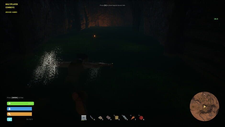 Multiplayer Cowboys screenshot 3