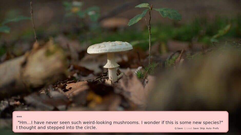 Gachimuchi Rebirth screenshot 6